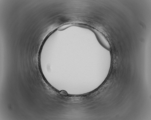 X0000112511181200909280949