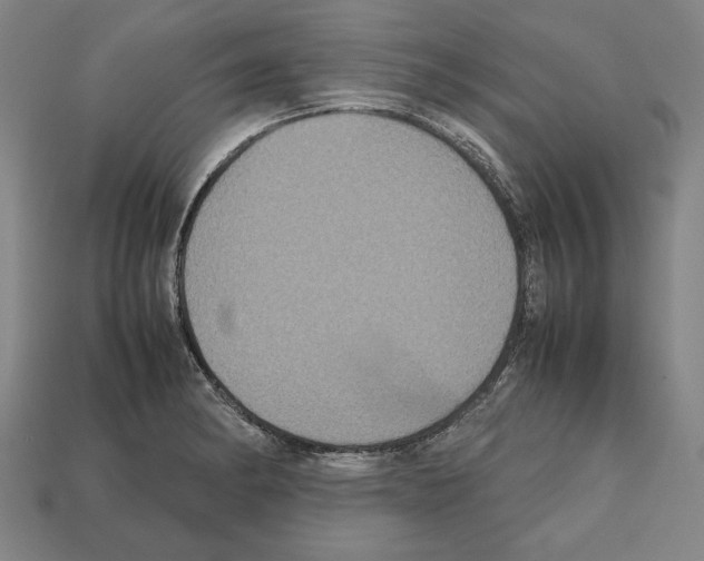 X0000112511182200909280949