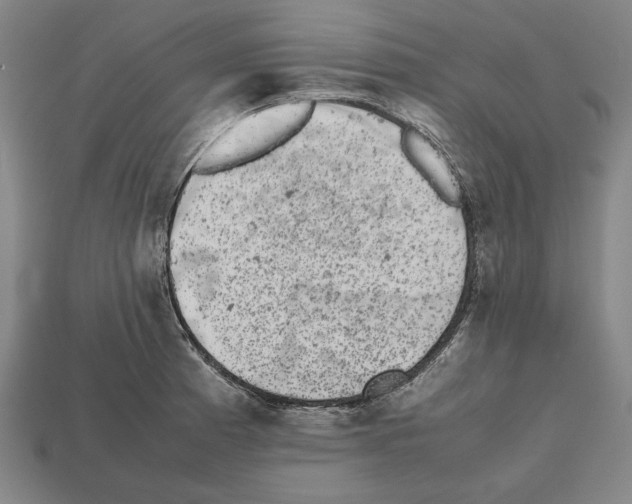 X0000112511185200909280949