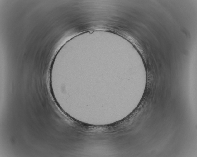 X0000112511187200909280949