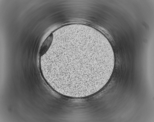 X0000112511188200909280949