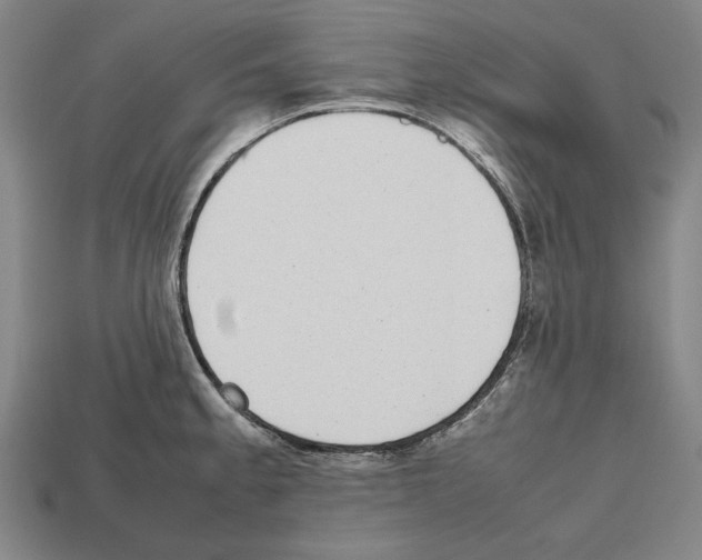 X0000112511189200909280949