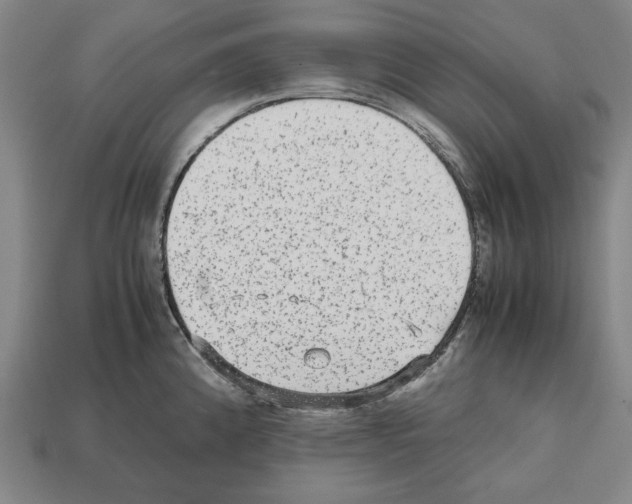 X0000112511192200909280948