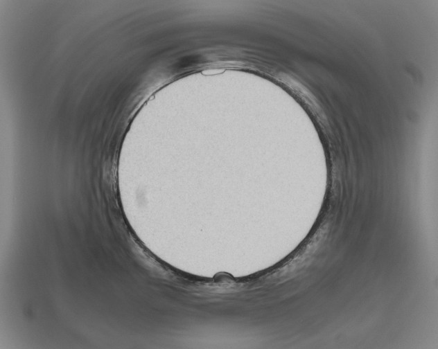 X0000112511193200909280948