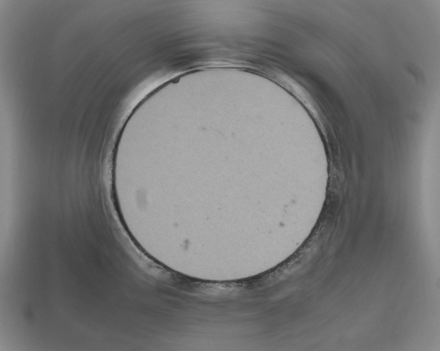 X0000112511195200909280948