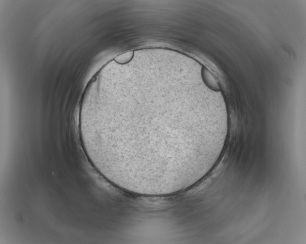 X0000112511198200909280948