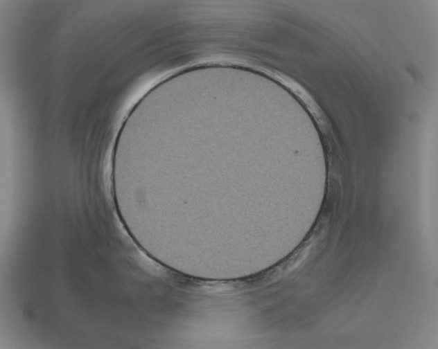 X0000112511199200909280948