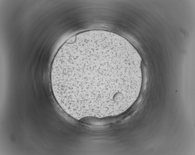 X0000112511200200909280948