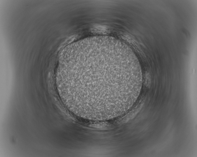 X0000112511201200909280948