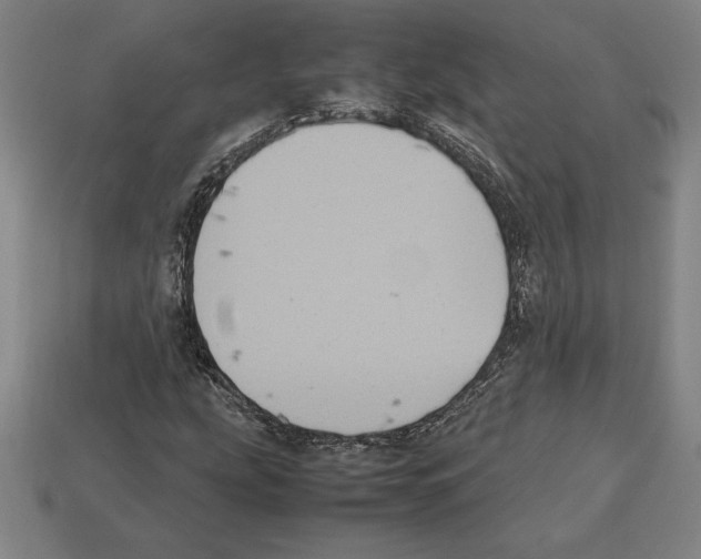 X0000112511207200909280948