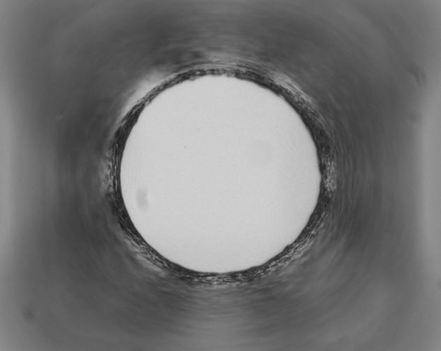 X0000112511208200909280948