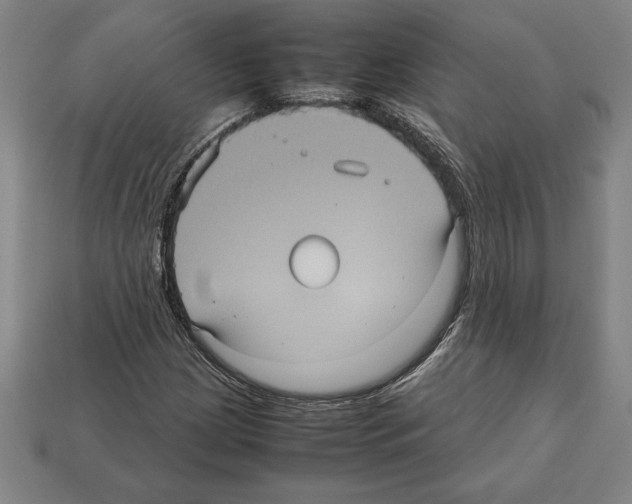 X0000112511209200909280948