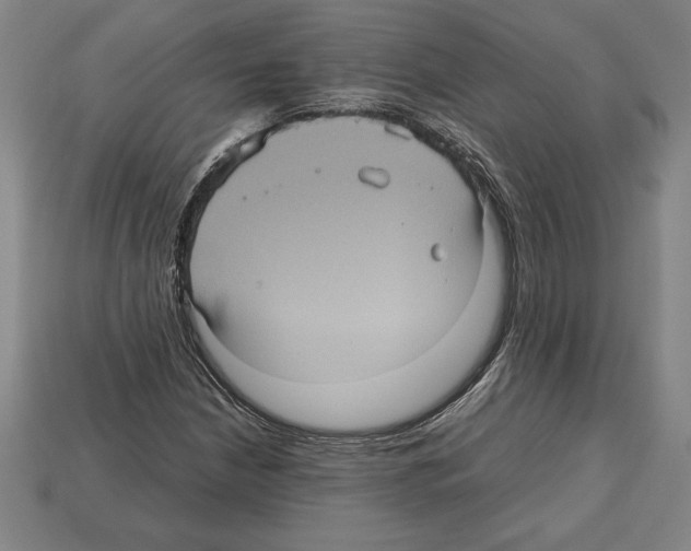 X0000112511210200909280948