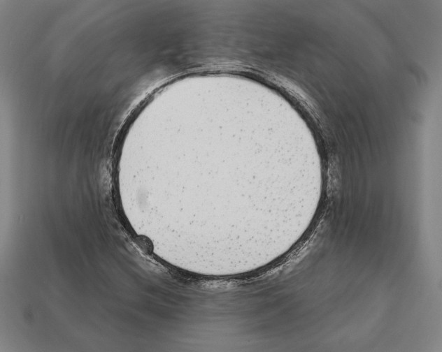 X0000112511212200909280948