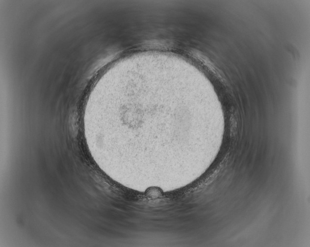 X0000112511213200909280948