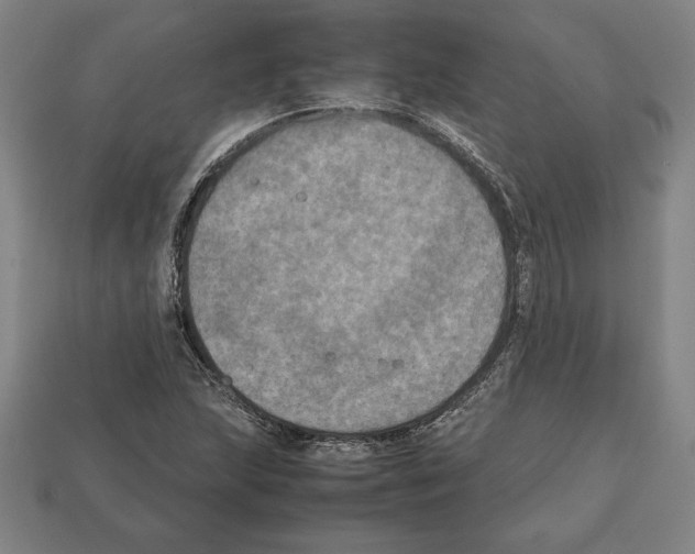 X0000112511215200909280948