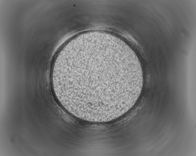 X0000112511216200909280948