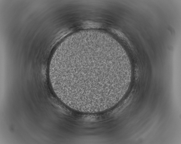 X0000112511217200909280948