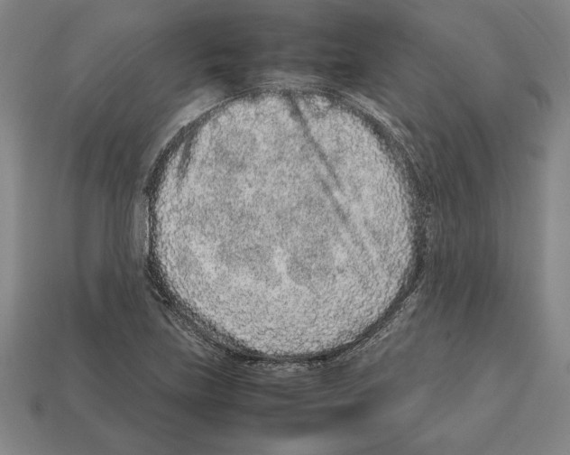 X0000112511219200909280948