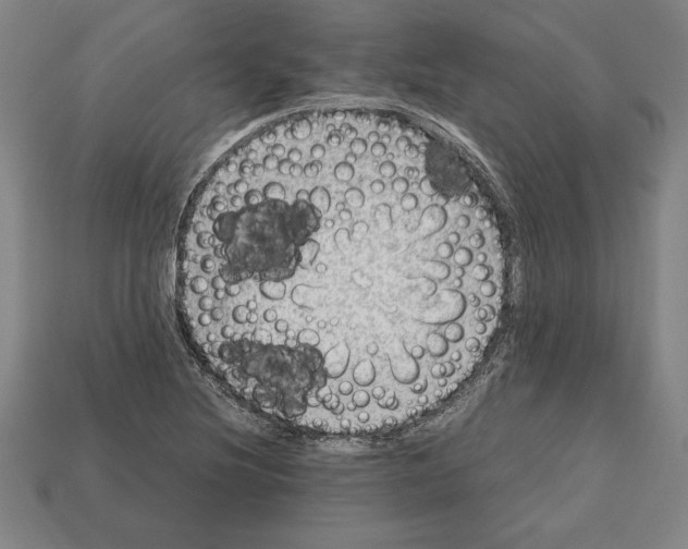 X0000112511220200909280948