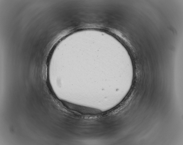 X0000112511221200909280948