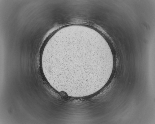 X0000112511222200909280948