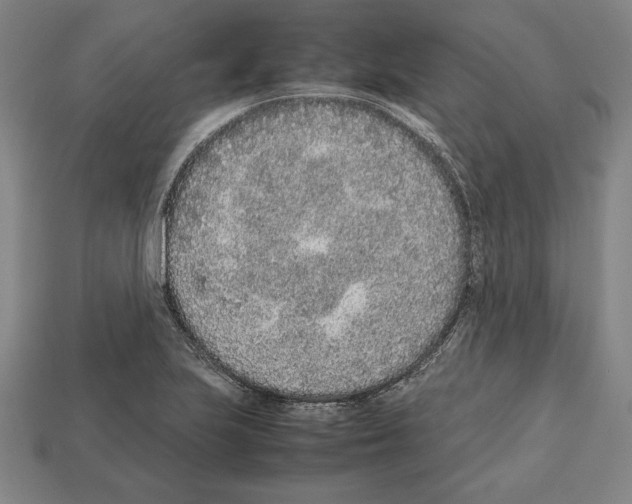 X0000112511223200909280948