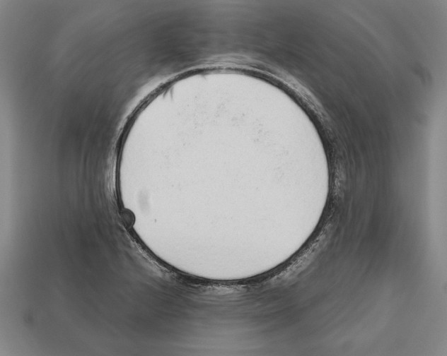 X0000112511224200909280948