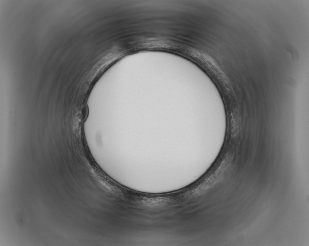 X0000112511225200909280948