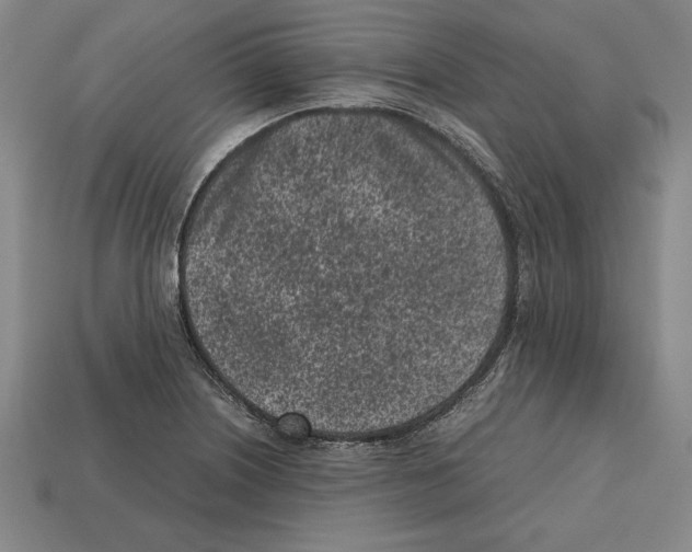 X0000112511226200909280948