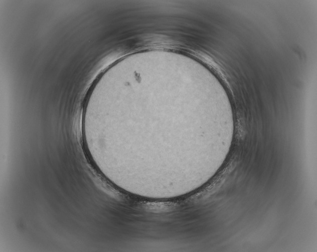 X0000112511227200909280948