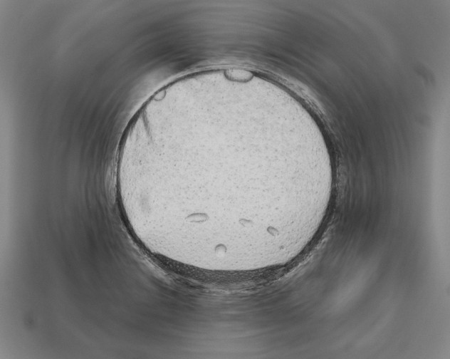 X0000112511228200909280948