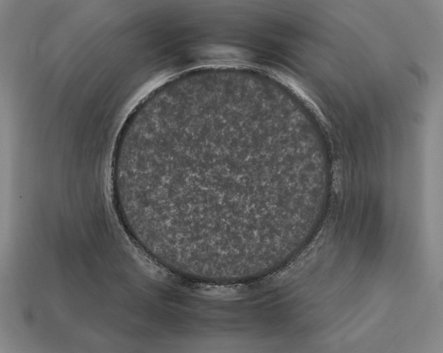 X0000112511229200909280948