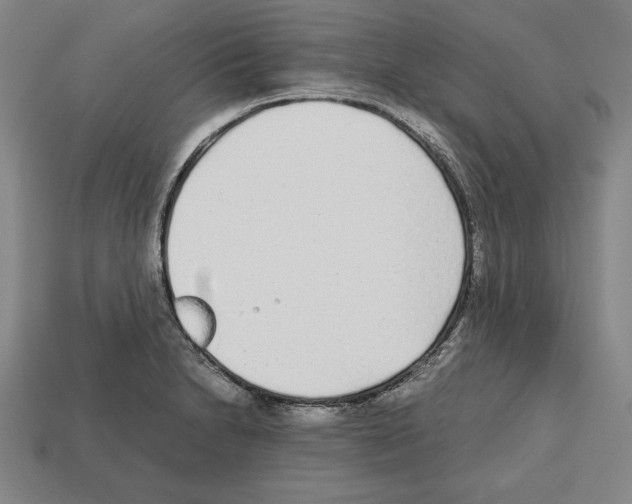 X0000112511230200909280948