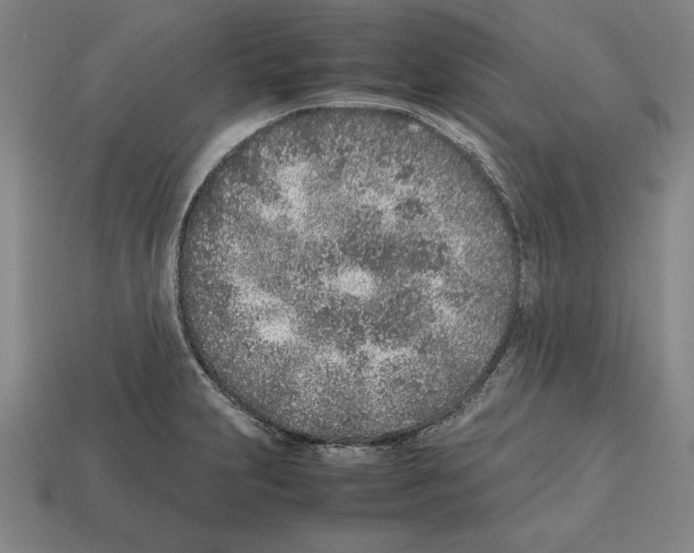 X0000112511231200909280948