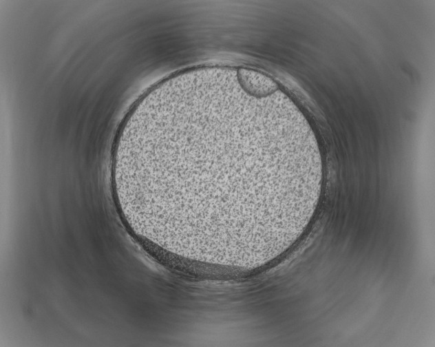 X0000112511232200909280948