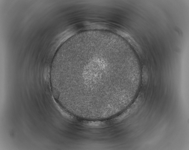 X0000112511233200909280948