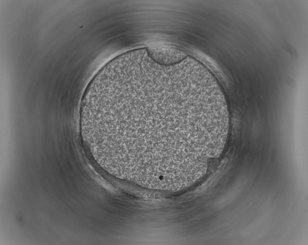 X0000112511236200909280948