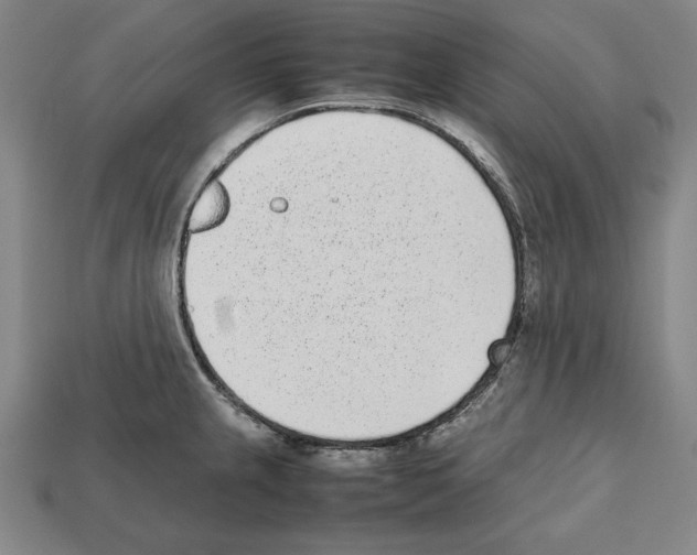 X0000112511237200909280948