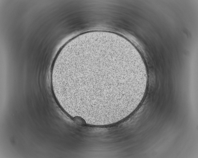 X0000112511238200909280948