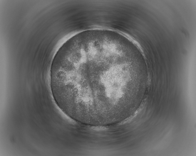 X0000112511239200909280948