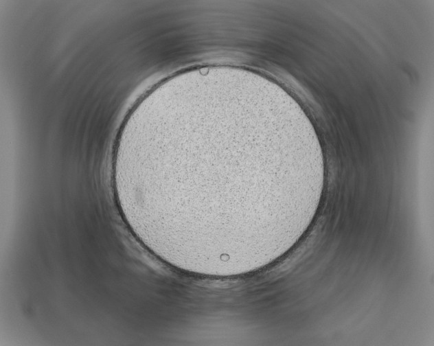 X0000112511240200909280948