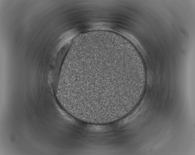 X0000112511241200909280948