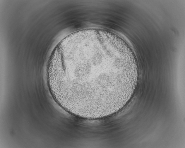 X0000112511243200909280948