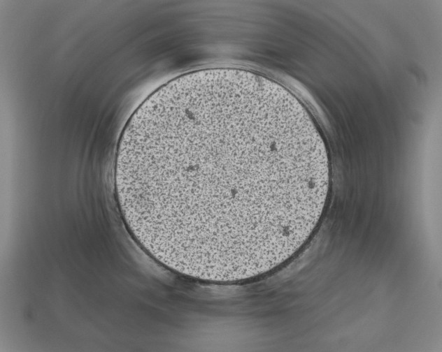 X0000112511244200909280948