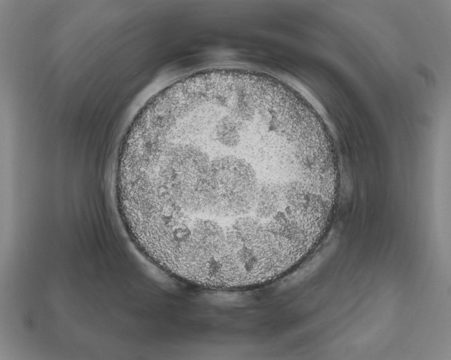 X0000112511245200909280948