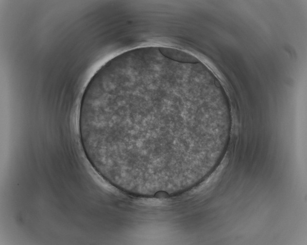 X0000112511246200909280948