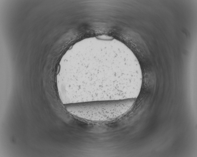 X0000112511249200909280948