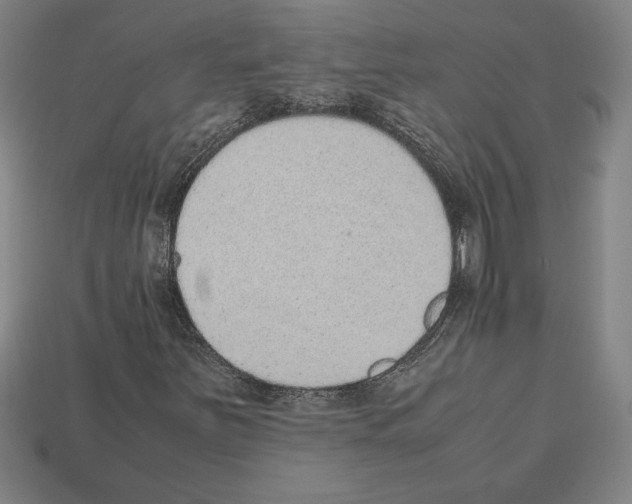 X0000112511251200909280948