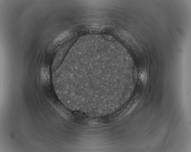 X0000112511252200909280948